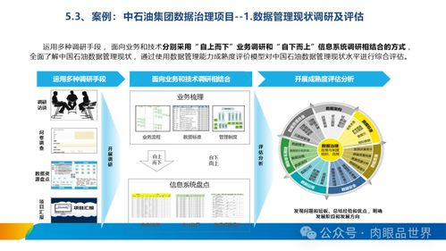 XX集團數(shù)據治理體系建設方案 數(shù)據處理與存儲服務