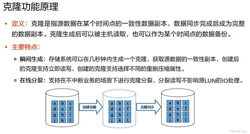 存儲數(shù)據(jù)保護(hù)技術(shù)與應(yīng)用 保障數(shù)據(jù)處理和存儲服務(wù)的安全基石